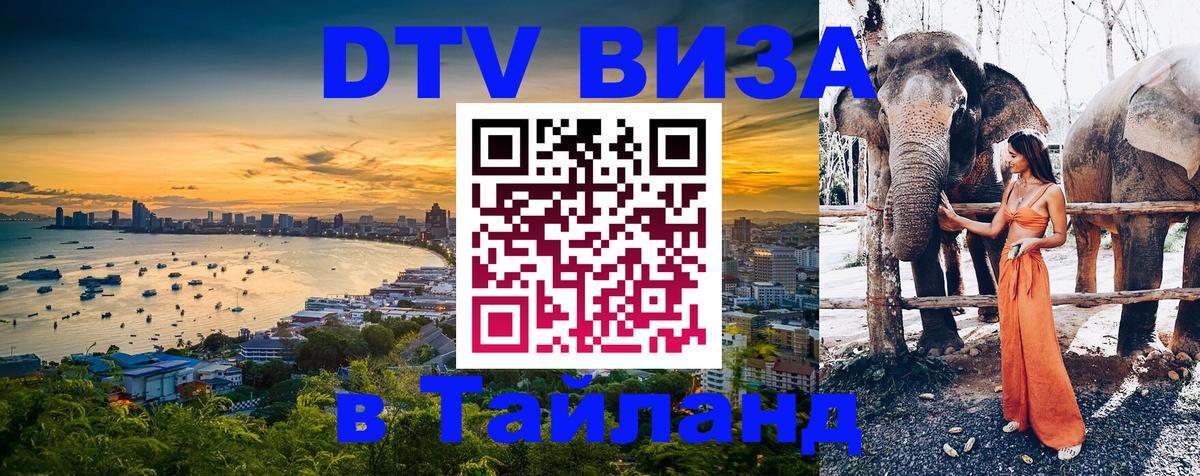 Сколько стоит DTV виза — актуальные цены, оформление даже без документов - Новосибирск 